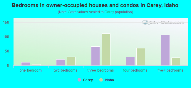 Bedrooms in owner-occupied houses and condos in Carey, Idaho