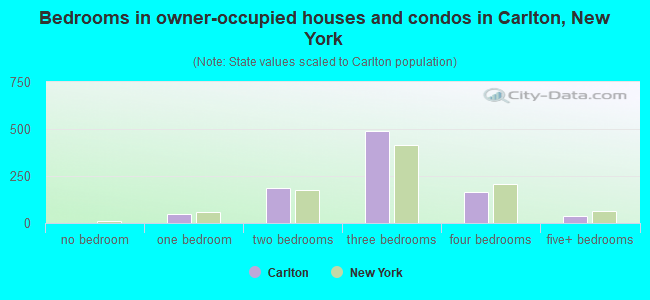 Bedrooms in owner-occupied houses and condos in Carlton, New York