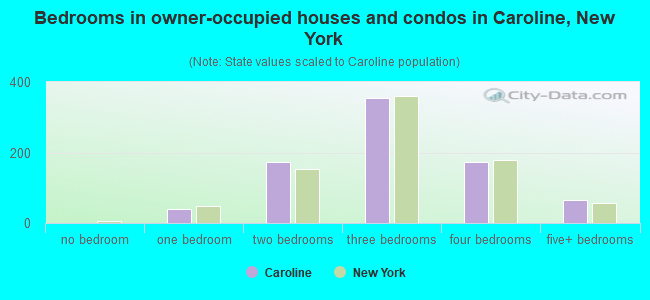 Bedrooms in owner-occupied houses and condos in Caroline, New York