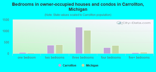 Bedrooms in owner-occupied houses and condos in Carrollton, Michigan