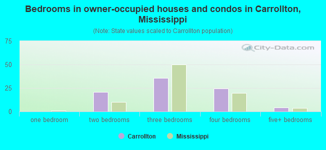 Bedrooms in owner-occupied houses and condos in Carrollton, Mississippi