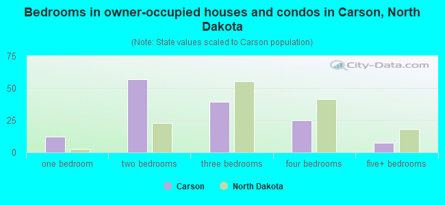 Bedrooms in owner-occupied houses and condos in Carson, North Dakota