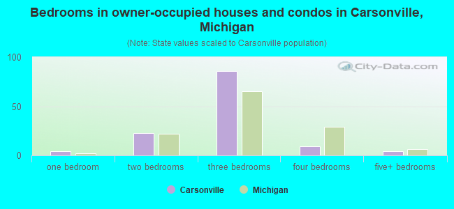 Bedrooms in owner-occupied houses and condos in Carsonville, Michigan
