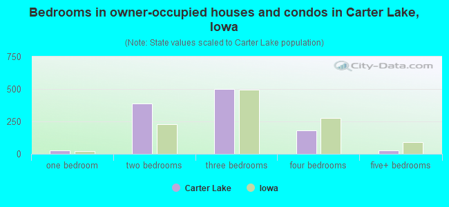 Bedrooms in owner-occupied houses and condos in Carter Lake, Iowa
