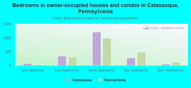 Bedrooms in owner-occupied houses and condos in Catasauqua, Pennsylvania