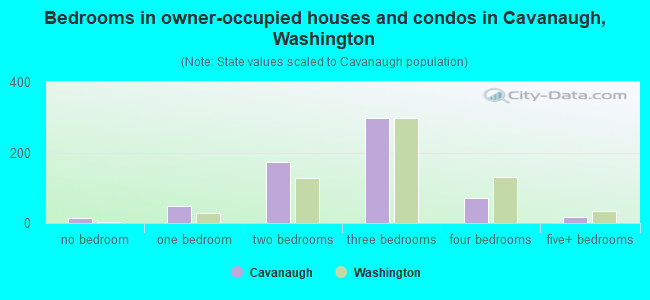 Bedrooms in owner-occupied houses and condos in Cavanaugh, Washington