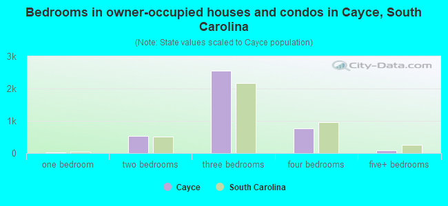 Bedrooms in owner-occupied houses and condos in Cayce, South Carolina