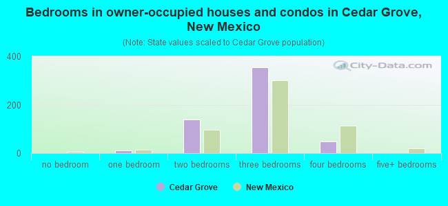 Bedrooms in owner-occupied houses and condos in Cedar Grove, New Mexico