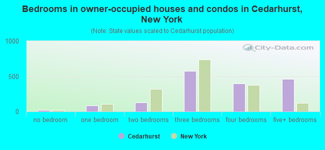 Bedrooms in owner-occupied houses and condos in Cedarhurst, New York