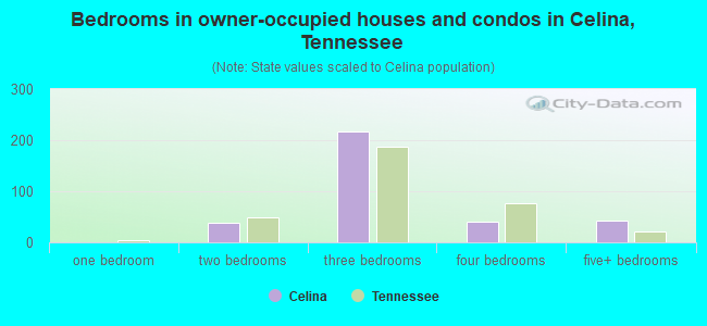 Bedrooms in owner-occupied houses and condos in Celina, Tennessee