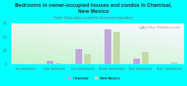 Bedrooms in owner-occupied houses and condos in Chamisal, New Mexico