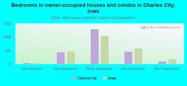 Bedrooms in owner-occupied houses and condos in Charles City, Iowa