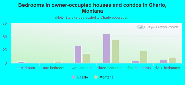 Bedrooms in owner-occupied houses and condos in Charlo, Montana