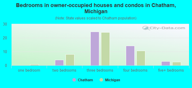 Bedrooms in owner-occupied houses and condos in Chatham, Michigan