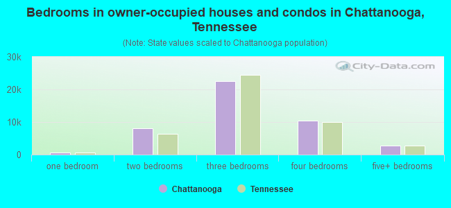 Bedrooms in owner-occupied houses and condos in Chattanooga, Tennessee