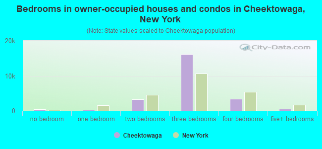 Bedrooms in owner-occupied houses and condos in Cheektowaga, New York