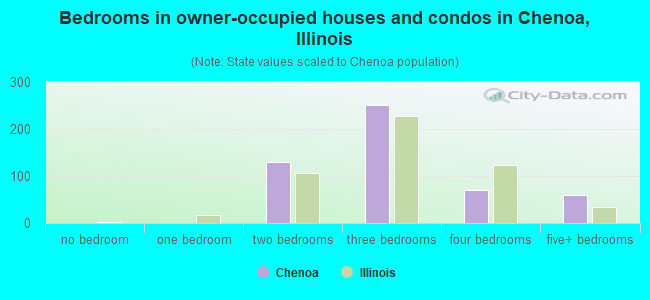 Bedrooms in owner-occupied houses and condos in Chenoa, Illinois