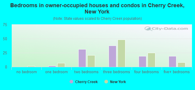 Bedrooms in owner-occupied houses and condos in Cherry Creek, New York