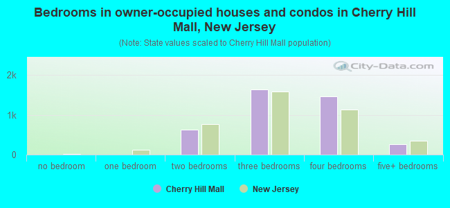 Bedrooms in owner-occupied houses and condos in Cherry Hill Mall, New Jersey