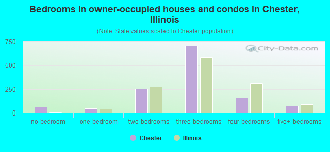Bedrooms in owner-occupied houses and condos in Chester, Illinois