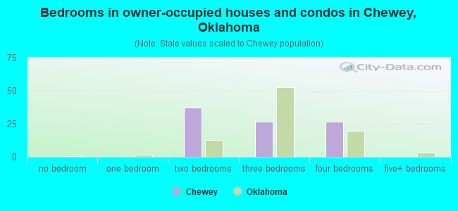 Bedrooms in owner-occupied houses and condos in Chewey, Oklahoma