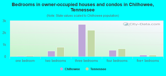 Bedrooms in owner-occupied houses and condos in Chilhowee, Tennessee