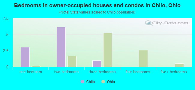 Bedrooms in owner-occupied houses and condos in Chilo, Ohio