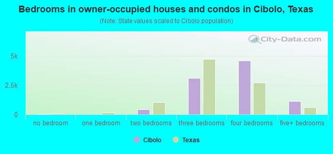 Bedrooms in owner-occupied houses and condos in Cibolo, Texas