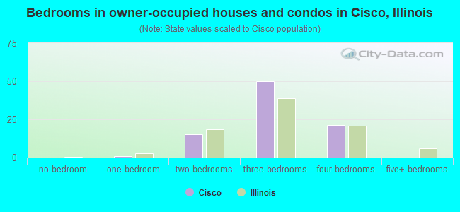 Bedrooms in owner-occupied houses and condos in Cisco, Illinois
