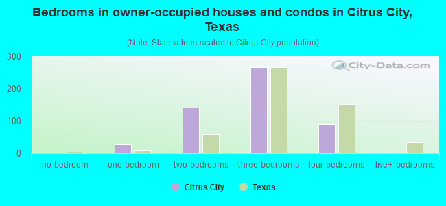 Bedrooms in owner-occupied houses and condos in Citrus City, Texas