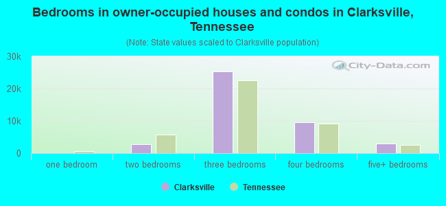 Bedrooms in owner-occupied houses and condos in Clarksville, Tennessee