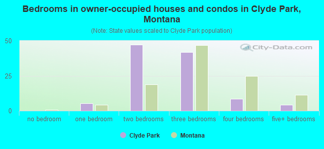 Bedrooms in owner-occupied houses and condos in Clyde Park, Montana