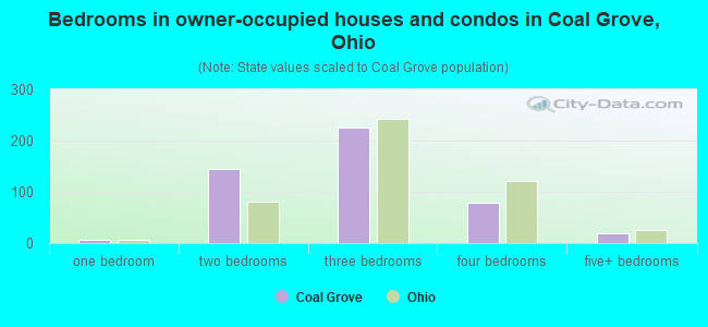 Bedrooms in owner-occupied houses and condos in Coal Grove, Ohio