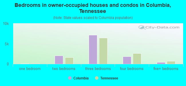 Bedrooms in owner-occupied houses and condos in Columbia, Tennessee
