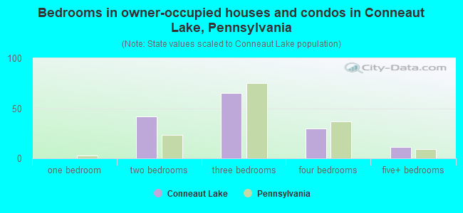 Bedrooms in owner-occupied houses and condos in Conneaut Lake, Pennsylvania