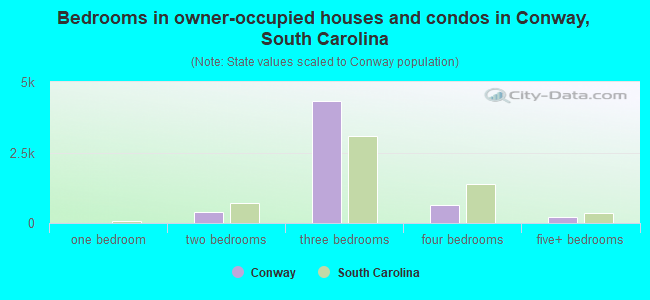 Bedrooms in owner-occupied houses and condos in Conway, South Carolina