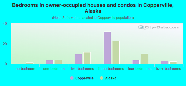 Bedrooms in owner-occupied houses and condos in Copperville, Alaska