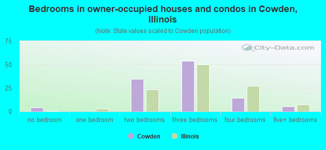 Bedrooms in owner-occupied houses and condos in Cowden, Illinois