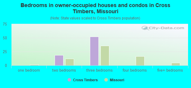 Bedrooms in owner-occupied houses and condos in Cross Timbers, Missouri
