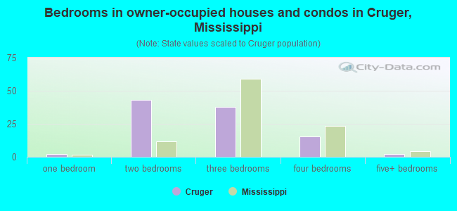 Bedrooms in owner-occupied houses and condos in Cruger, Mississippi