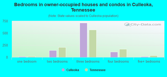 Bedrooms in owner-occupied houses and condos in Culleoka, Tennessee