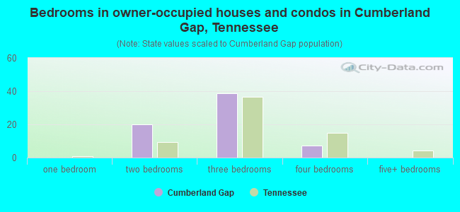 Bedrooms in owner-occupied houses and condos in Cumberland Gap, Tennessee