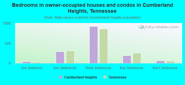 Bedrooms in owner-occupied houses and condos in Cumberland Heights, Tennessee