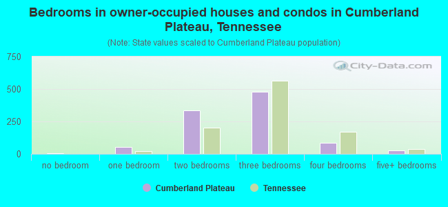 Bedrooms in owner-occupied houses and condos in Cumberland Plateau, Tennessee