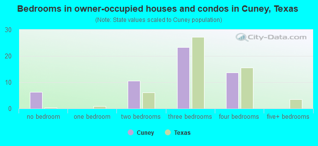 Bedrooms in owner-occupied houses and condos in Cuney, Texas