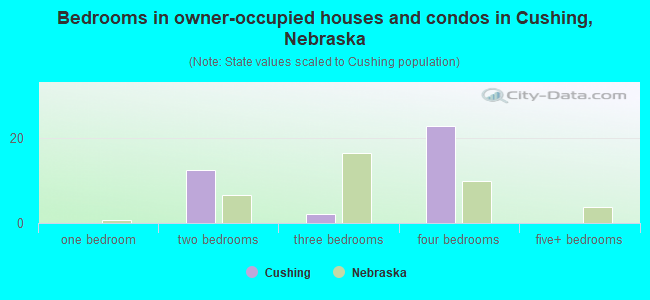 Bedrooms in owner-occupied houses and condos in Cushing, Nebraska