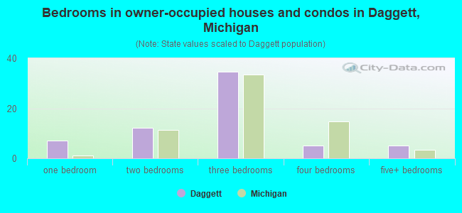 Bedrooms in owner-occupied houses and condos in Daggett, Michigan