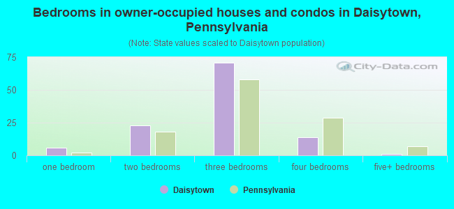Bedrooms in owner-occupied houses and condos in Daisytown, Pennsylvania