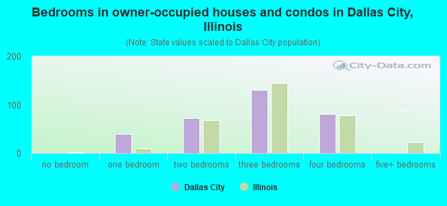 Bedrooms in owner-occupied houses and condos in Dallas City, Illinois