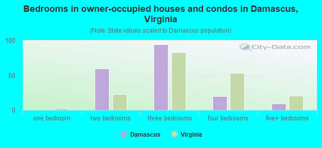 Bedrooms in owner-occupied houses and condos in Damascus, Virginia